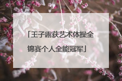 王子露获艺术体操全锦赛个人全能冠军
