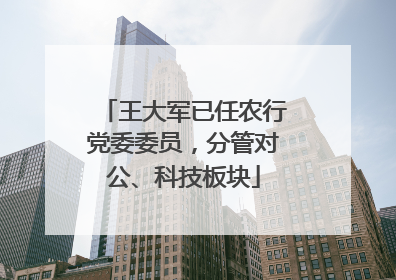 王大军已任农行党委委员，分管对公、科技板块