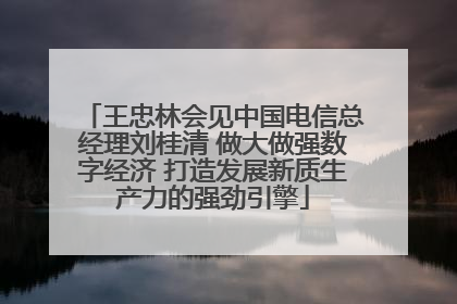 王忠林会见中国电信总经理刘桂清 做大做强数字经济 打造发展新质生产力的强劲引擎