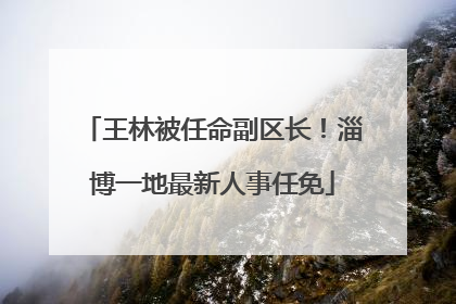 王林被任命副区长！淄博一地最新人事任免