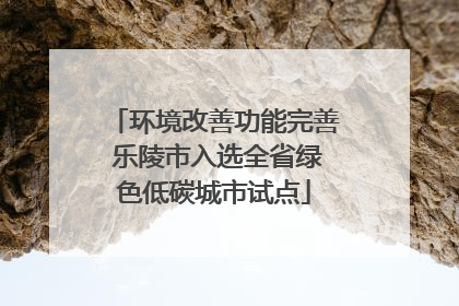 环境改善功能完善 乐陵市入选全省绿色低碳城市试点