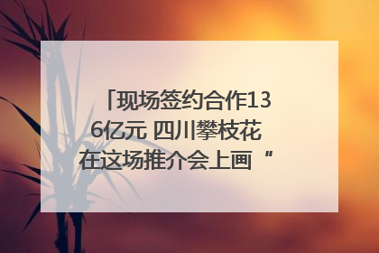 现场签约合作136亿元 四川攀枝花在这场推介会上画“图谱”列“清单”
