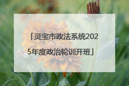 灵宝市政法系统2025年度政治轮训开班