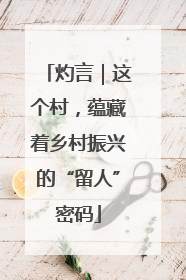 灼言｜这个村，蕴藏着乡村振兴的“留人”密码