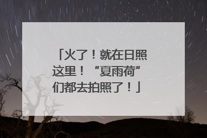 火了！就在日照这里！“夏雨荷”们都去拍照了！