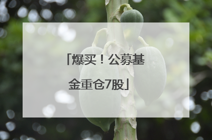 爆买！公募基金重仓7股
