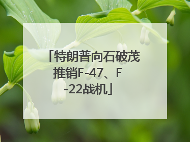 特朗普向石破茂推销F-47、F-22战机