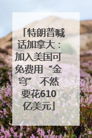 特朗普喊话加拿大：加入美国可免费用“金穹” 不然要花610亿美元
