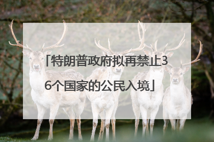 特朗普政府拟再禁止36个国家的公民入境