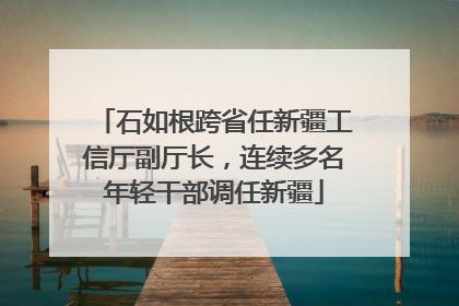 石如根跨省任新疆工信厅副厅长，连续多名年轻干部调任新疆