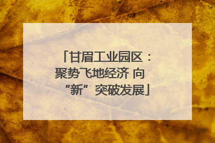 甘眉工业园区：聚势飞地经济 向“新”突破发展