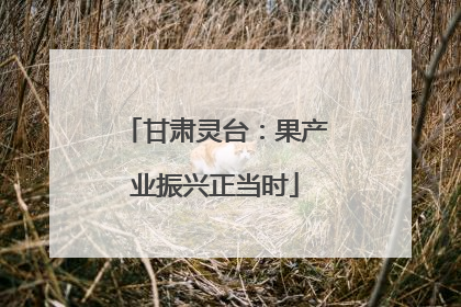 甘肃灵台：果产业振兴正当时