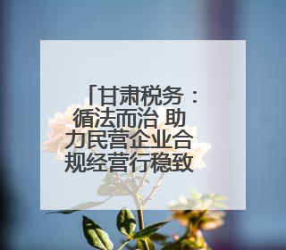甘肃税务：循法而治 助力民营企业合规经营行稳致远