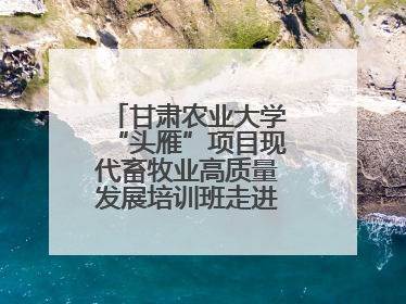 甘肃农业大学“头雁”项目现代畜牧业高质量发展培训班走进榆林榆阳区