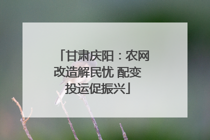 甘肃庆阳：农网改造解民忧 配变投运促振兴