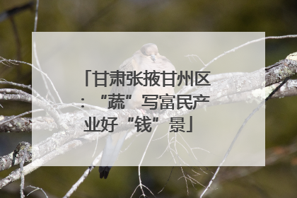 甘肃张掖甘州区：“蔬”写富民产业好“钱”景
