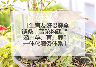 生育友好贯穿全链条，普陀构建“婚、孕、育、养”一体化服务体系