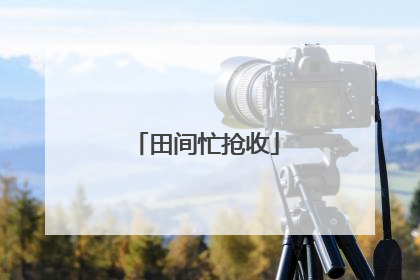 田间忙抢收