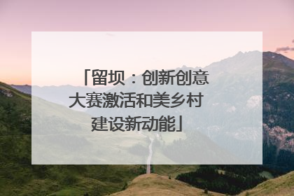 留坝：创新创意大赛激活和美乡村建设新动能