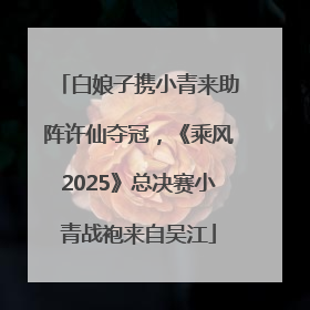 白娘子携小青来助阵许仙夺冠，《乘风2025》总决赛小青战袍来自吴江