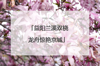 益阳兰溪双桡龙舟惊艳京城