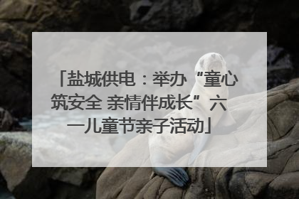 盐城供电：举办“童心筑安全 亲情伴成长”六一儿童节亲子活动