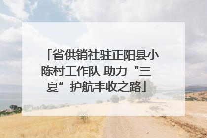 省供销社驻正阳县小陈村工作队 助力“三夏”护航丰收之路