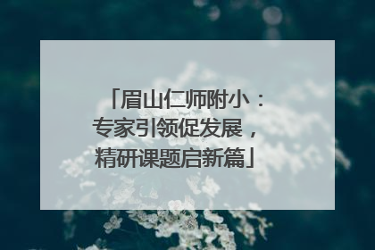 眉山仁师附小：专家引领促发展，精研课题启新篇