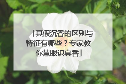 真假沉香的区别与特征有哪些？专家教你慧眼识真香
