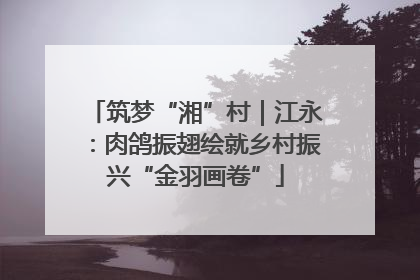 筑梦“湘”村｜江永：肉鸽振翅绘就乡村振兴“金羽画卷”