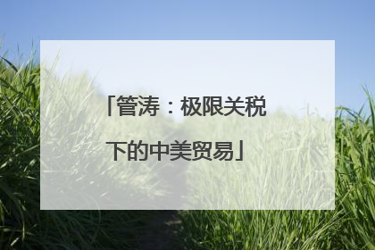管涛：极限关税下的中美贸易