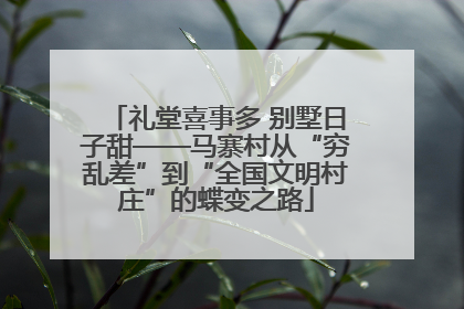 礼堂喜事多 别墅日子甜——马寨村从“穷乱差”到“全国文明村庄”的蝶变之路