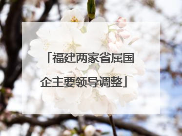 福建两家省属国企主要领导调整