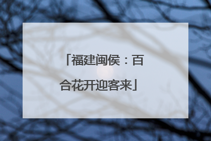 福建闽侯：百合花开迎客来
