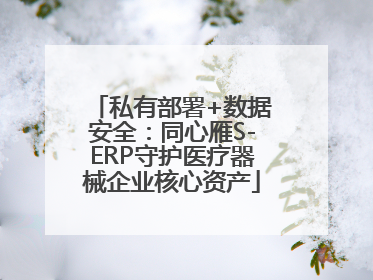 私有部署+数据安全：同心雁S-ERP守护医疗器械企业核心资产