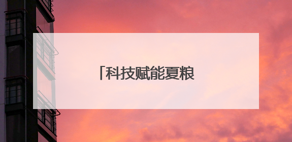 科技赋能夏粮收购提质增效