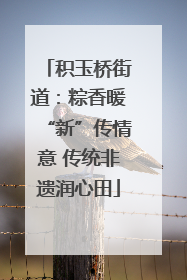 积玉桥街道：粽香暖“新”传情意 传统非遗润心田