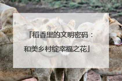 稻香里的文明密码：和美乡村绽幸福之花