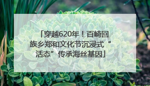 穿越620年！百崎回族乡郑和文化节沉浸式“活态”传承海丝基因