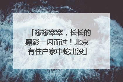 窸窸窣窣，长长的黑影一闪而过！北京有住户家中蛇出没