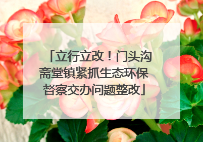 立行立改！门头沟斋堂镇紧抓生态环保督察交办问题整改
