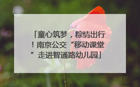 童心筑梦，粽情出行！南京公交“移动课堂”走进智通路幼儿园