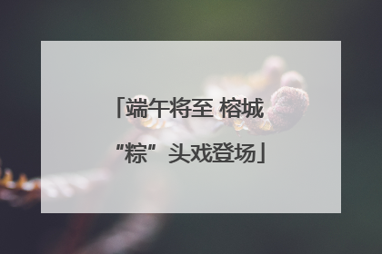 端午将至 榕城“粽”头戏登场