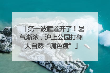 第一波睡莲开了！暑气渐浓，沪上公园打翻大自然“调色盘”