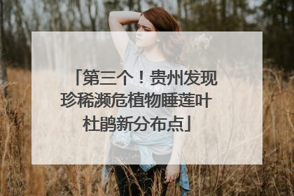 第三个！贵州发现珍稀濒危植物睡莲叶杜鹃新分布点