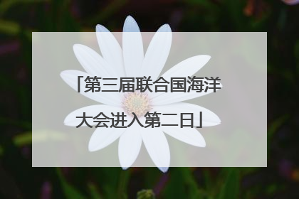 第三届联合国海洋大会进入第二日