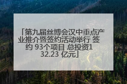 第九届丝博会汉中重点产业推介暨签约活动举行 签约 93个项目 总投资132.23 亿元