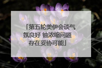 第五轮美伊会谈气氛良好 铀浓缩问题存在妥协可能