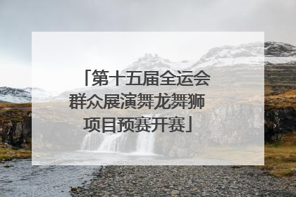 第十五届全运会群众展演舞龙舞狮项目预赛开赛