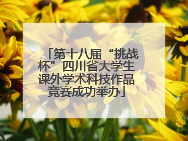第十八届“挑战杯”四川省大学生课外学术科技作品竞赛成功举办